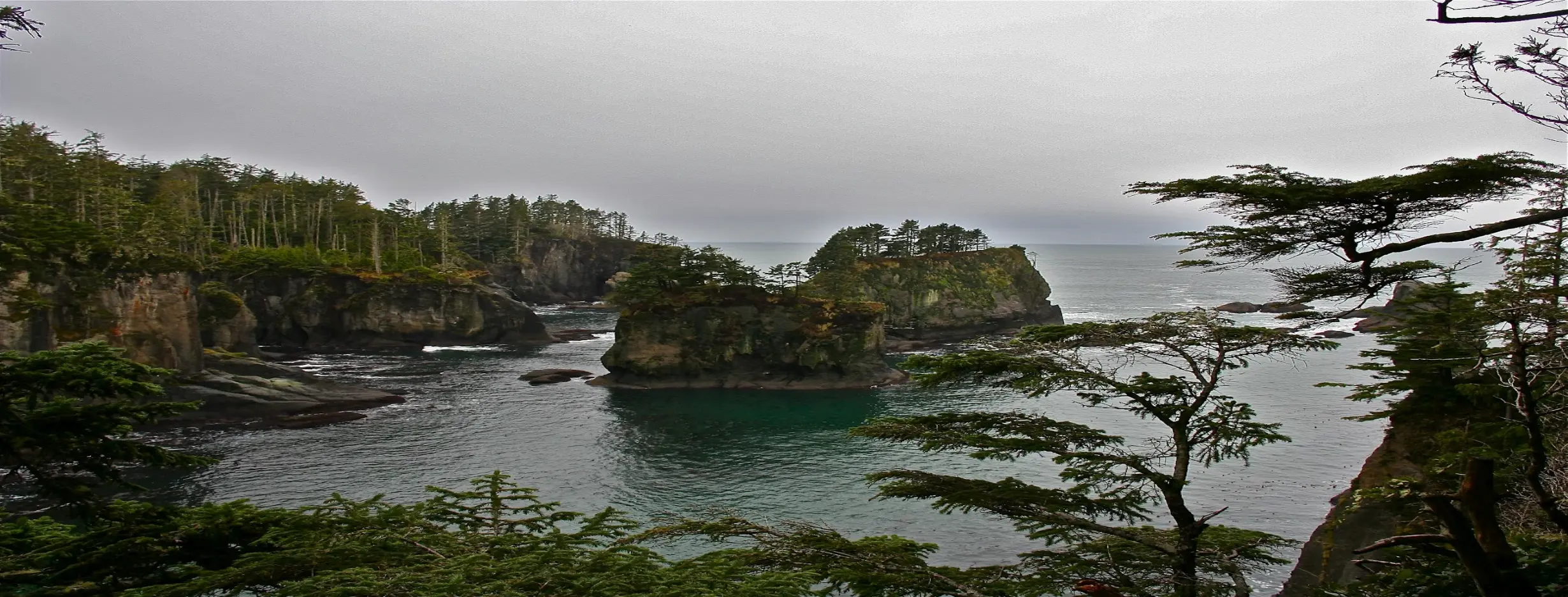 Image for Olympic Peninsula